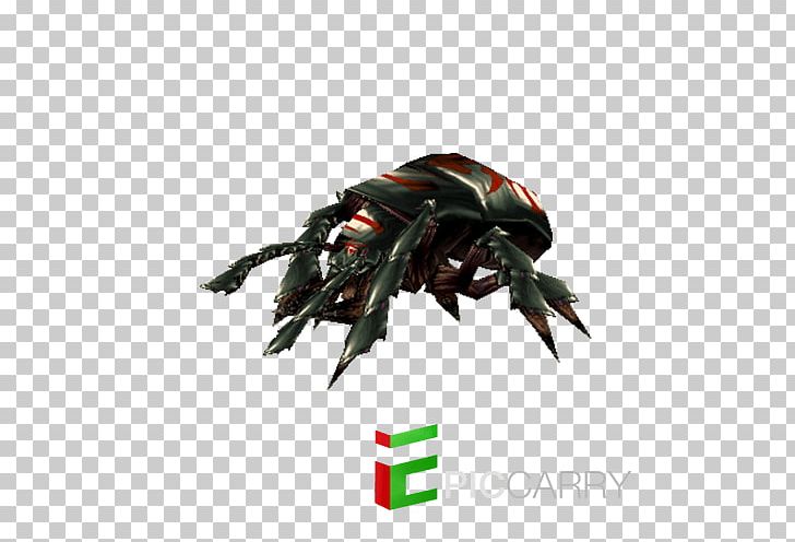 Warcraft III: Reign Of Chaos Carrion Beetles World Of Warcraft: Battle For Azeroth Wowpedia PNG, Clipart, Azeroth, Beetle, Bicycle, Bicycle Helmet, Bicycle Helmets Free PNG Download