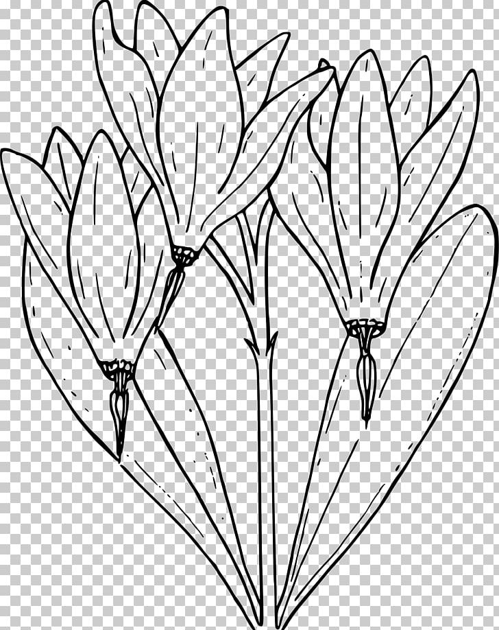 Drawing Flower PNG, Clipart, Are, Art, Black And White, Branch, Coloring Book Free PNG Download
