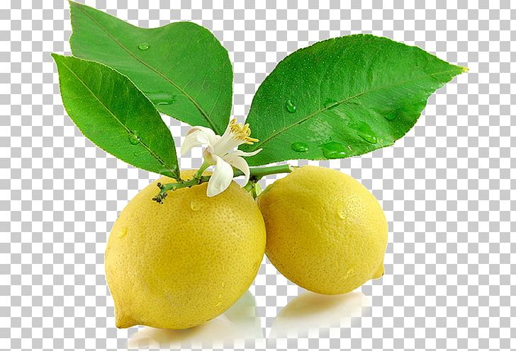 Lemonade Juice Persian Lime Food PNG, Clipart, Aloysia Citrodora, Bitter Orange, Citron, Citrus, Desktop Wallpaper Free PNG Download
