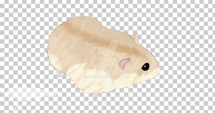 Rodent Hamster Mouse Rat Murids PNG, Clipart, Animal, Animal Figure, Animals, Fauna, Hamster Free PNG Download
