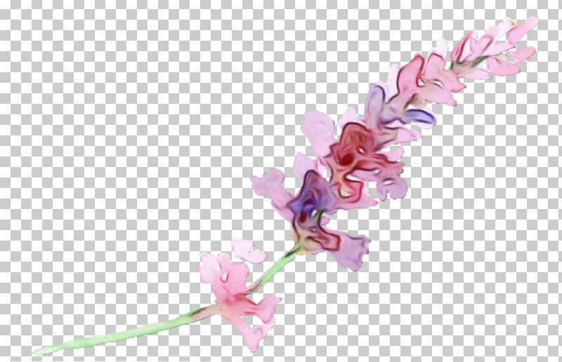 Cut Flowers Plant Stem Petal Flower Pink M PNG, Clipart, Biology, Cut Flowers, Flower, Paint, Petal Free PNG Download