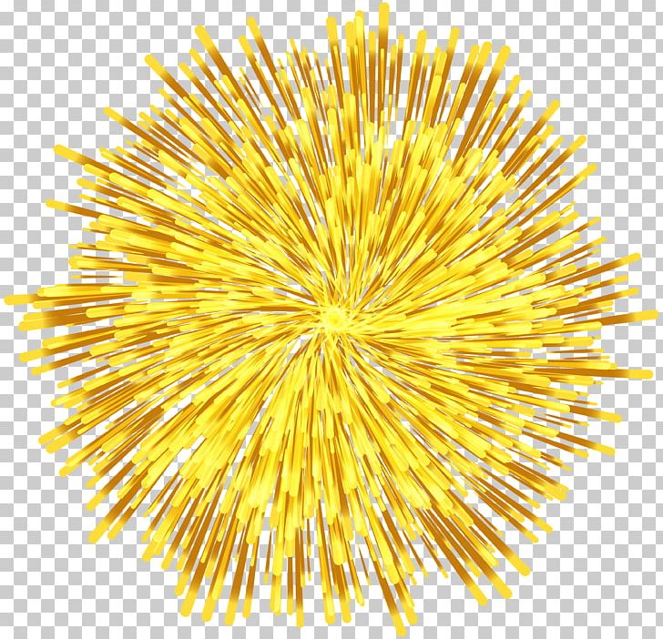 Fireworks PNG, Clipart, Circle, Clipart, Clip Art, Color, Digital Image Free PNG Download