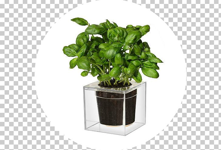 Flowerpot Cube Garden Watering Cans Container PNG, Clipart, African Violets, Art, Basil, Container, Cube Free PNG Download