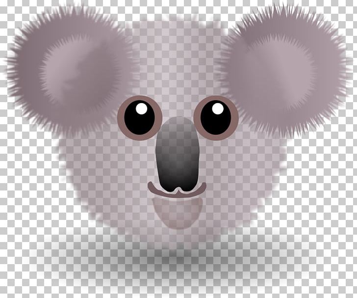 Koala Cartoon Face PNG, Clipart, Bear, Carnivoran, Cartoon, Comics, Download Free PNG Download
