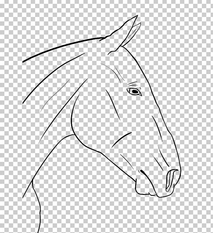 Snout Mustang Connemara Pony Line Art PNG, Clipart, Angle, Art, Artwork, Black, Carnivoran Free PNG Download
