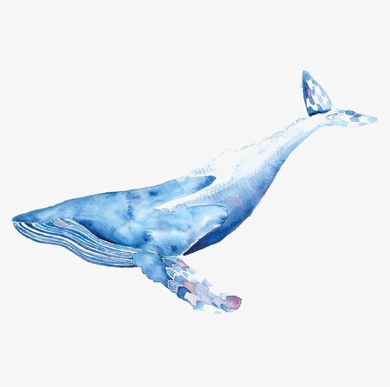 Watercolor Whale PNG, Clipart, Blue, Blue Whale, Ink, Ink Whale, Ocean Free PNG Download