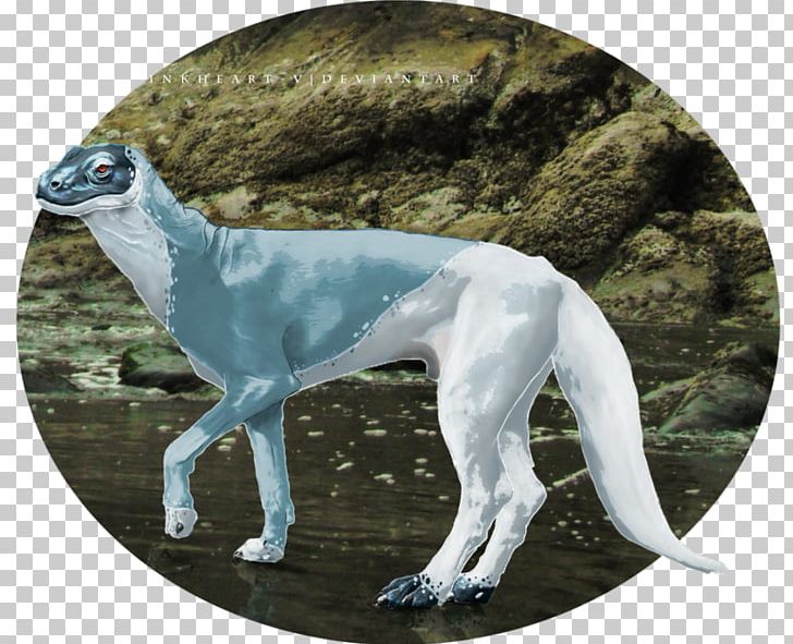 Whippet Italian Greyhound Sloughi Spanish Greyhound PNG, Clipart, 08626, Breed, Carnivoran, Dog, Dog Breed Free PNG Download