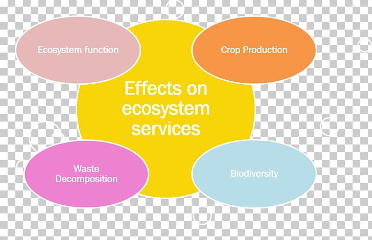 Ecotoxicology Ecosystem Services Ecology PNG, Clipart, Adverse Effect, Area, Biodiversity, Brand, Communication Free PNG Download