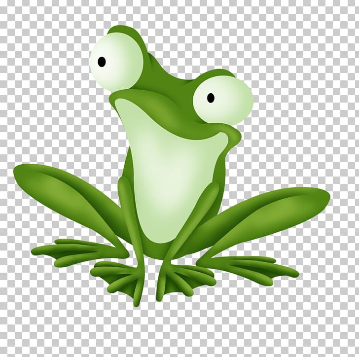 Tree Frog Edible Frog Cartoon PNG, Clipart, Amphibian, Cartoon, Drawing, Edible Frog, Encapsulated Postscript Free PNG Download