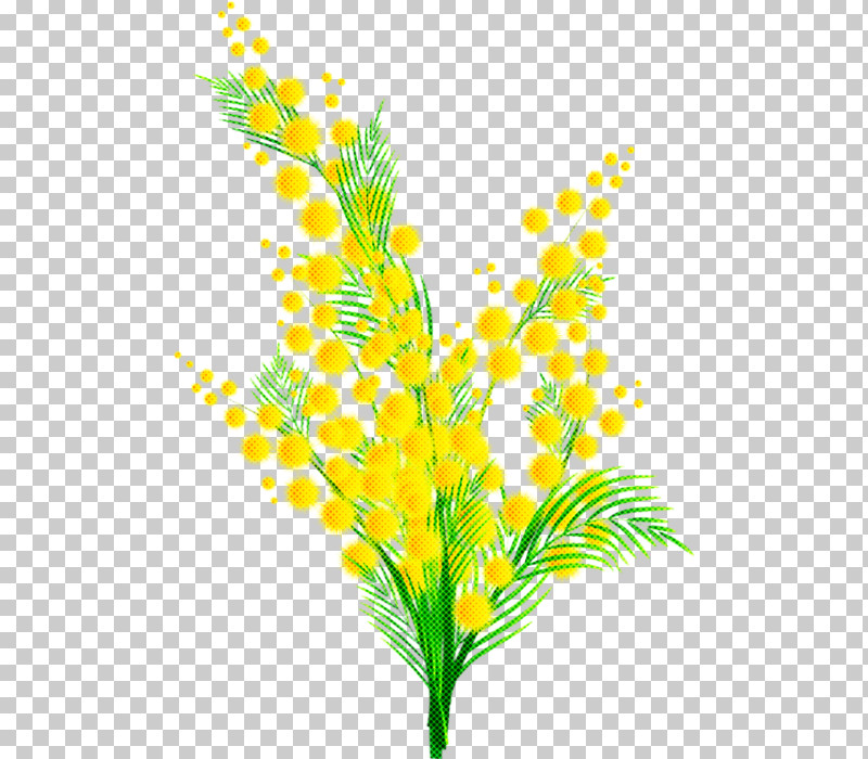Yellow Leaf Plant Flower Grass PNG, Clipart, Branch, Cut Flowers, Flower, Grass, Grass Family Free PNG Download