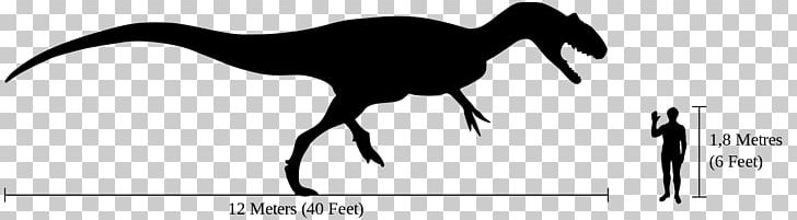 Allosaurus Cleveland-Lloyd Dinosaur Quarry Tyrannosaurus Brachiosaurus Spinosaurus PNG, Clipart, Albertosaurus, Allosauridae, Allosaurus, Beak, Black And White Free PNG Download