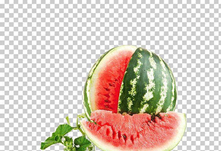 Desktop Watermelon Fruit Vegetable Food PNG, Clipart, 1080p, Citrullus, Cucumber, Cucumber Gourd And Melon Family, Desktop Wallpaper Free PNG Download