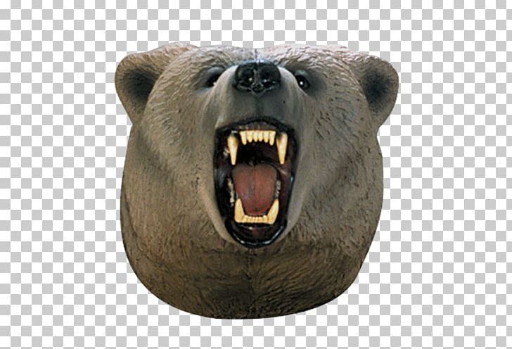 Grizzly Bear Brown Bear Snout Head PNG, Clipart,  Free PNG Download