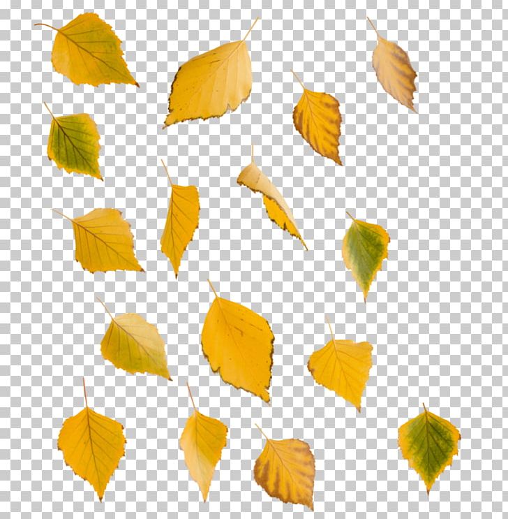 Leaf Swamp Birch Yellow Tree PNG, Clipart, Autumn Leaf Color, Bark, Birch, Branch, Computer Icons Free PNG Download