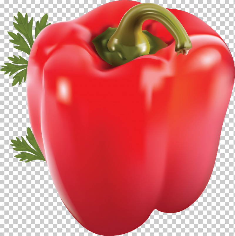 Natural Foods Bell Pepper Pimiento Red Bell Pepper Vegetable PNG, Clipart, Bell Pepper, Capsicum, Food, Natural Foods, Paprika Free PNG Download