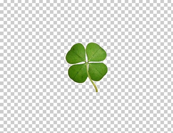 Four-leaf Clover Luck Keychain PNG, Clipart, Art, Clover, Clover Border, Clovers, Flowers Free PNG Download