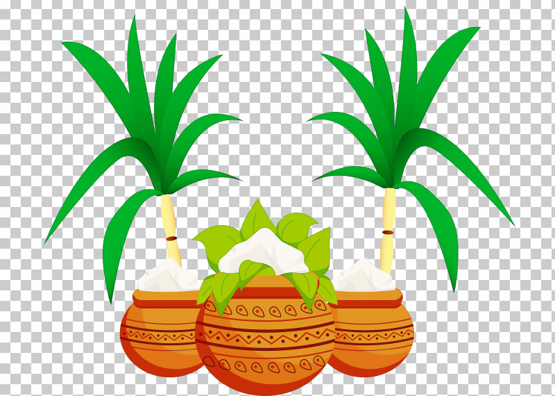 Pongal PNG, Clipart, Arecales, Flower, Flowerpot, Fruit, Line Free PNG Download