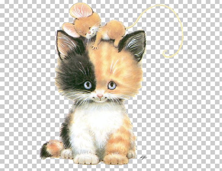 Kitten Mouse Chantilly-Tiffany Asian Semi-longhair Persian Cat PNG, Clipart, Animal, Animals, Calico Cat, Carnivoran, Cat Free PNG Download