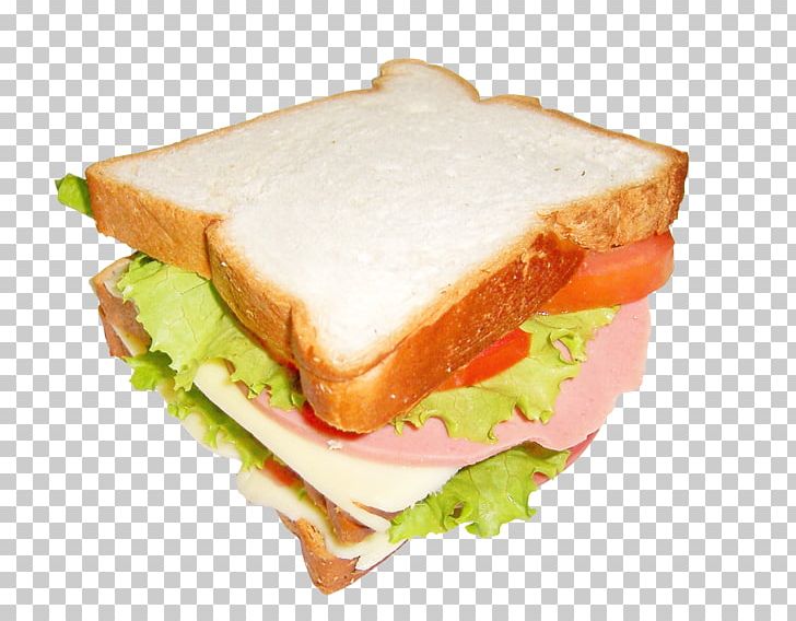 Butterbrot Panini Bologna Sandwich Hot Dog PNG, Clipart,  Free PNG Download