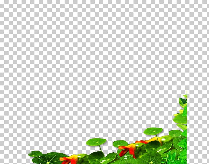 Leaf Green Petal Pattern PNG, Clipart, Computer, Computer Wallpaper, Golden Lotus, Grass, Green Free PNG Download