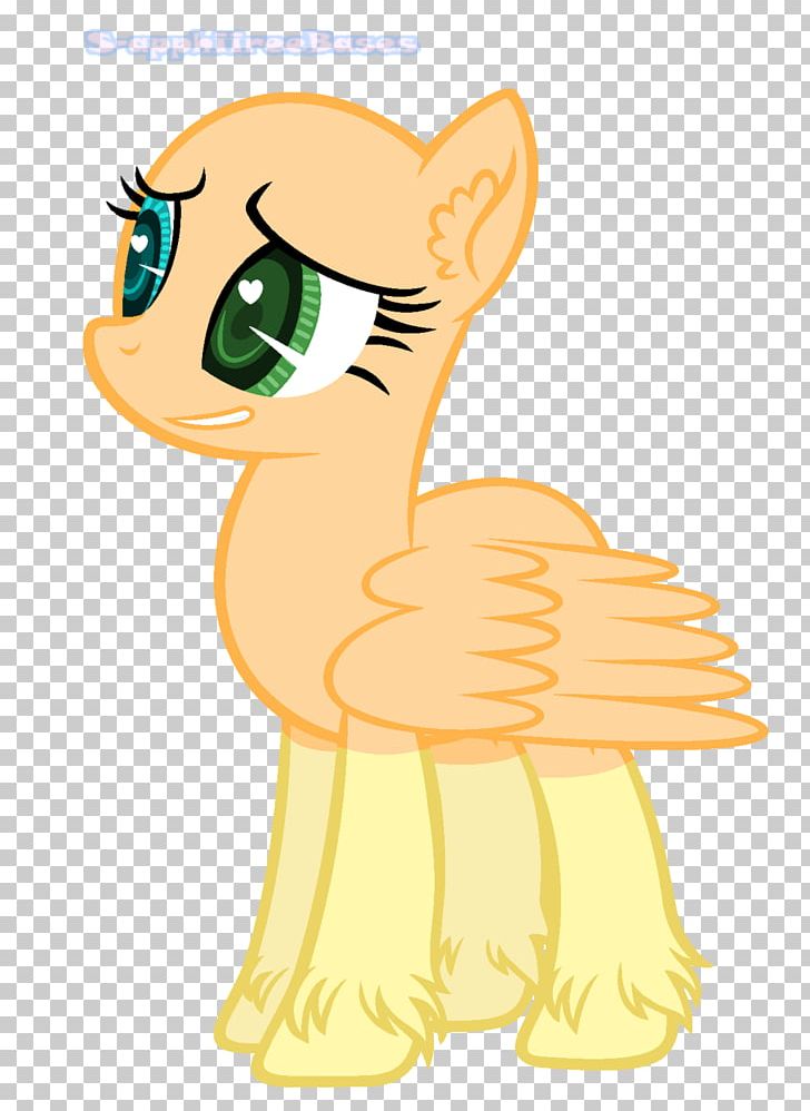 Pony Whiskers Rainbow Dash Applejack Photography PNG, Clipart, Bird, Carnivoran, Cartoon, Cat Like Mammal, Deviantart Free PNG Download