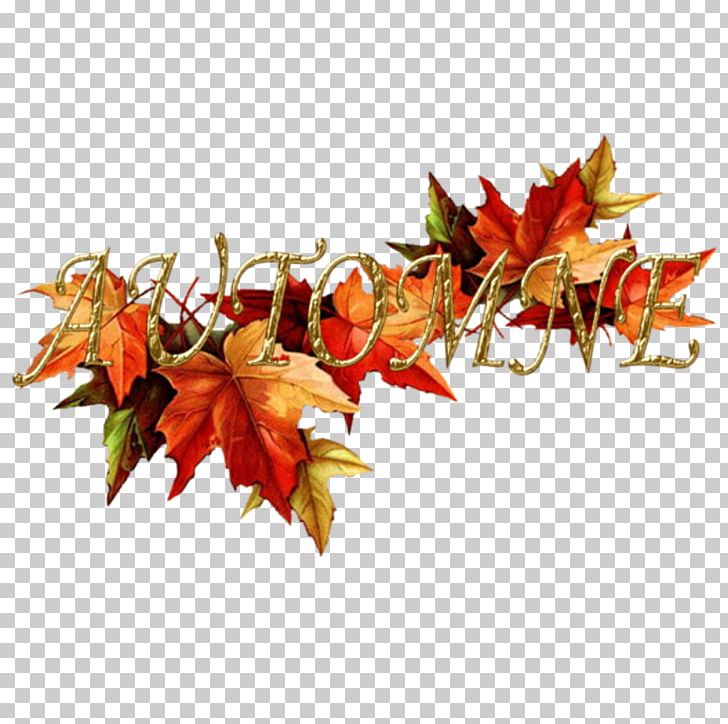 Autumn Landmark Free Holiness Church PNG, Clipart, Android, Autumn, Autumn Leaf Color, Child, Christmas Free PNG Download