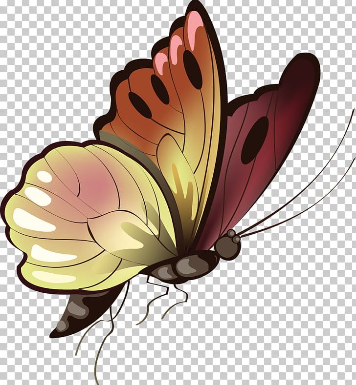 Butterfly Animal PNG, Clipart, Animal, Arthropod, Brush Footed Butterfly, Butterflies And Moths, Butterfly Free PNG Download