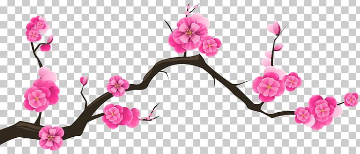 Cherry Blossom Branch Tree Almond PNG, Clipart, Alm, Beauty, Blossom, Body Jewelry, Branch Free PNG Download