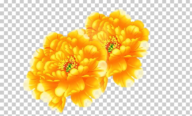 Moutan Peony Watercolor Painting Yellow PNG, Clipart, Art, Calendula, Christmas Decoration, Chrysanths, Computer Wallpaper Free PNG Download