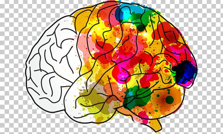 Human Brain Creativity Mind Hacks PNG, Clipart, Art, Brain, Brain Health, Circle, Color Free PNG Download