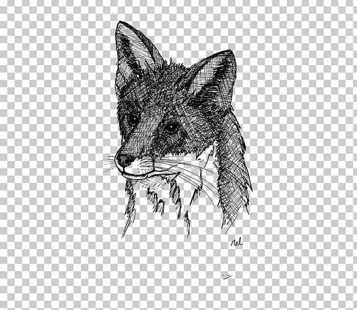 Red Fox Coyote ADP Analyse Design Planung Jackal PNG, Clipart, Animals, Black And White, Carnivoran, Coyote, Dog Like Mammal Free PNG Download