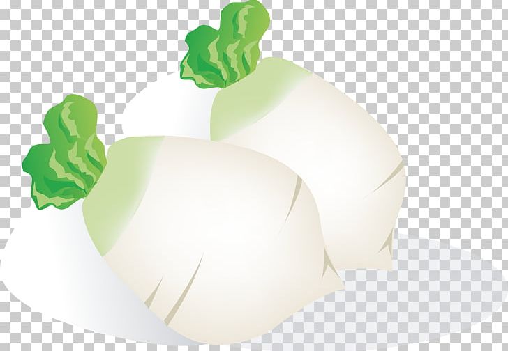 Vegetable Daikon Food Cải Củ PNG, Clipart, Carrot, Chinese Food Therapy, Daikon, Food, Food Drinks Free PNG Download
