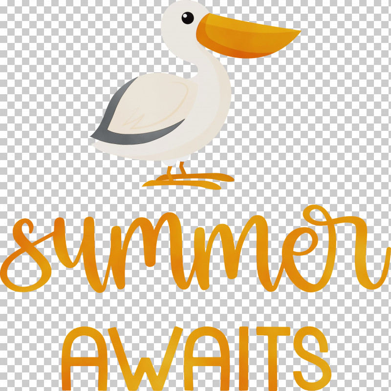 Duck Birds Seabird Beak Water Bird PNG, Clipart, Beak, Biology, Birds, Duck, Logo Free PNG Download