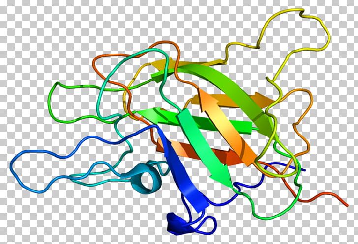 Factor VIII Coagulation Factor V Leiden Thrombophilia PNG, Clipart, Area, Art, Artwork, Coagulation, Disease Free PNG Download