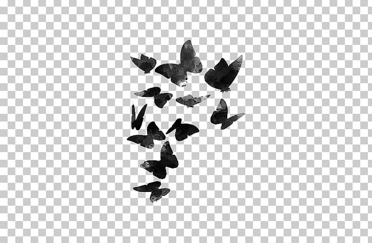 Idea Paper Baby Shower Video PNG, Clipart, Baby Shower, Bird, Black, Black And White, Download Free PNG Download