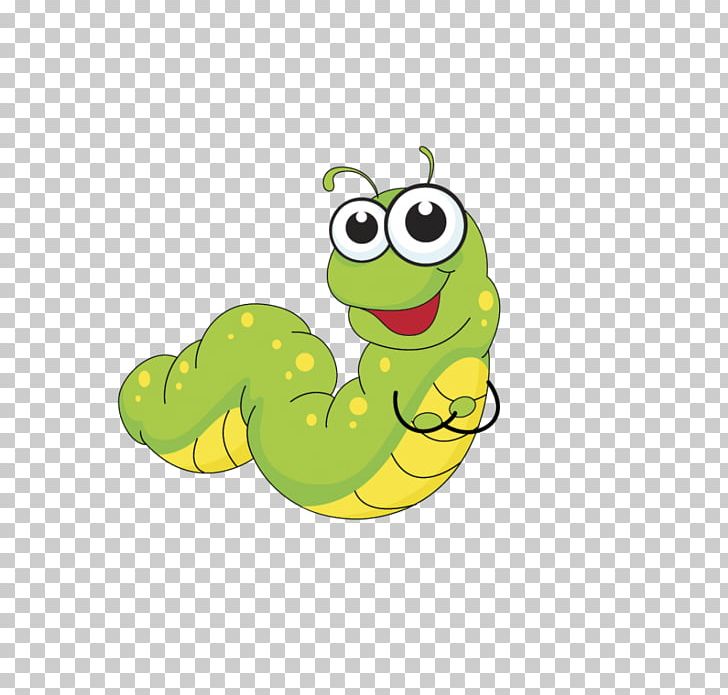Insect Cartoon Caterpillar PNG, Clipart, Amphibian, Animals, Animation, Balloon Cartoon, Boy Cartoon Free PNG Download