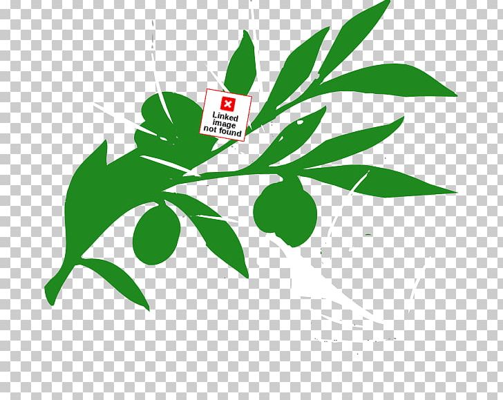 Leaf Oren's Hummus Shop Tree Plant Stem PNG, Clipart,  Free PNG Download