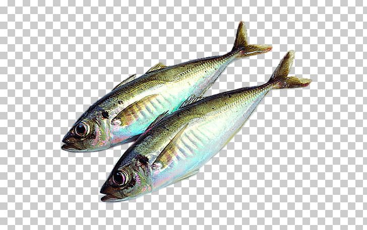 Fish Food Drying PNG, Clipart, Animal Source Foods, Bony Fish, Digital ...