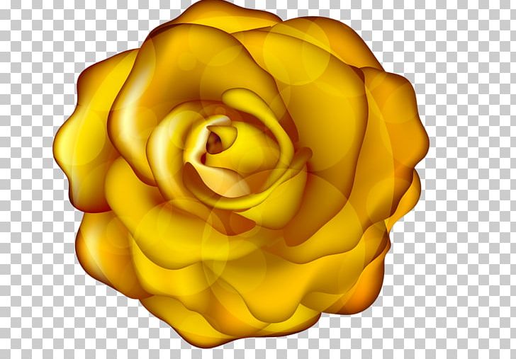 Garden Roses Yellow Flower PNG, Clipart, Animaatio, Animated Film, Closeup, Color, Computer Icons Free PNG Download