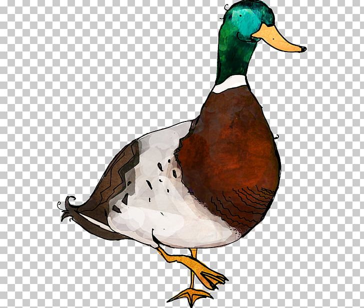 Mallard Goose Duck Art PNG, Clipart, Animals, Art, Artist, Beak, Bird Free PNG Download