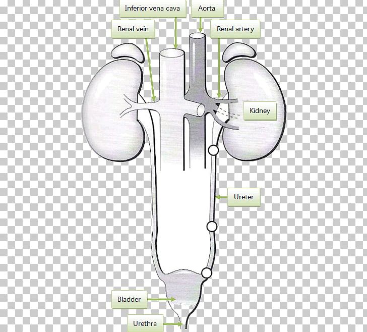 Product Design Drawing /m/02csf PNG, Clipart, Angle, Area, Diagram, Drawing, Joint Free PNG Download