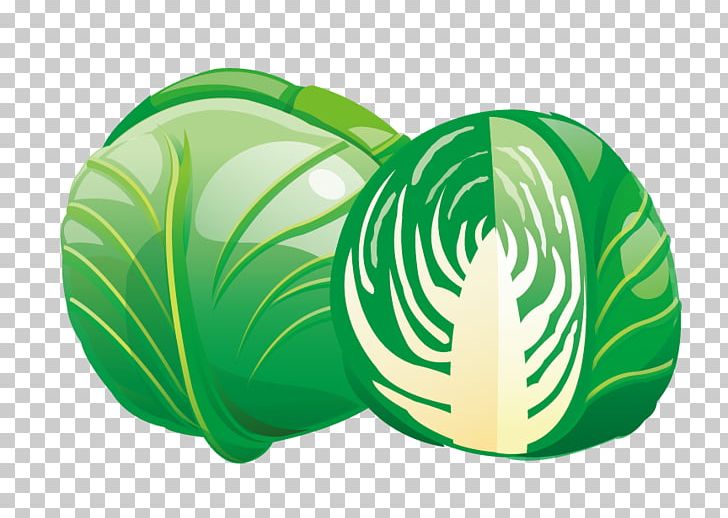 Red Cabbage Savoy Cabbage Vegetable PNG, Clipart, Cabbage, Cabbage Leaves, Cabbage Roses, Cabbage Vector, Cartoon Cabbage Free PNG Download