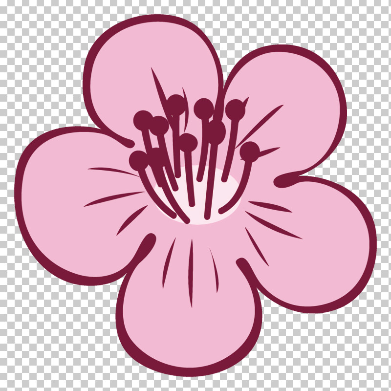 Plum Blossoms Plum Winter Flower PNG, Clipart, Cherry Blossom, Flower, Hibiscus, Magenta, Petal Free PNG Download