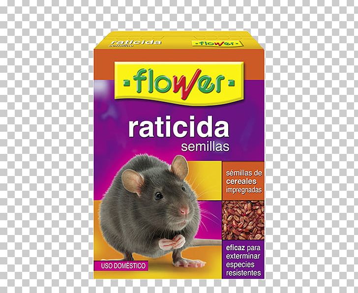 Rodenticide Rat Bait Seed Pesticide PNG, Clipart, Animals, Bait, Fauna, Flower, Flowerpot Free PNG Download