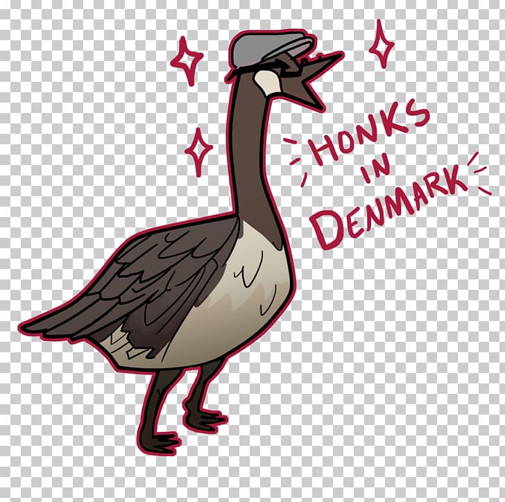 Goose Duck Seabird Fauna Illustration PNG, Clipart, Animals, Animated Cartoon, Beak, Bird, Duck Free PNG Download