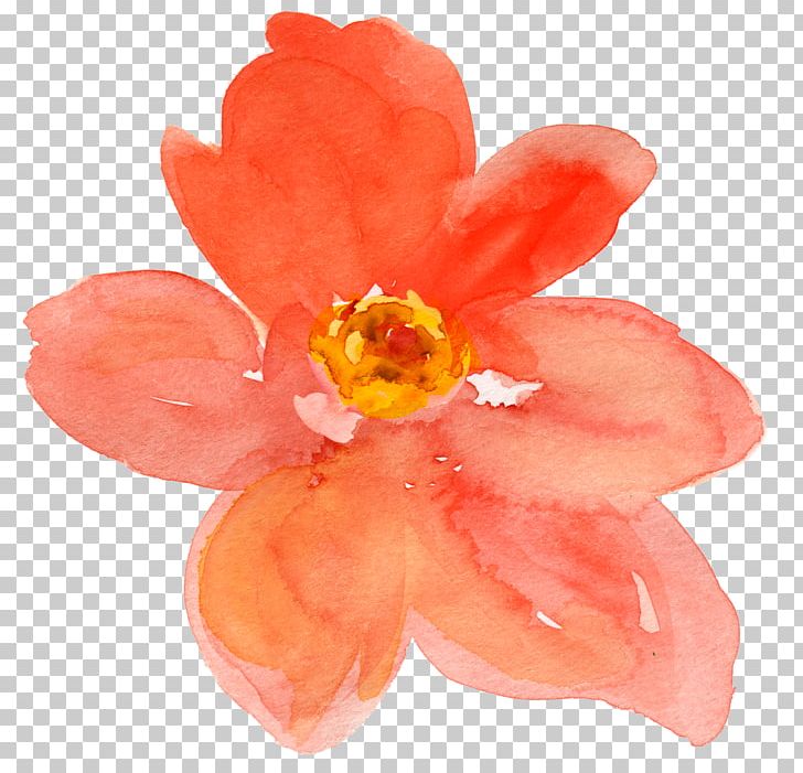 Watercolor Painting Flower Drawing PNG, Clipart, Autumn, Clip Art, Desktop Wallpaper, Drawing, Flower Free PNG Download