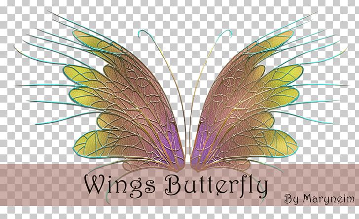 Adobe Systems PNG, Clipart, Adobe Systems, Butterfly, Deviantart, Feather, Future Free PNG Download