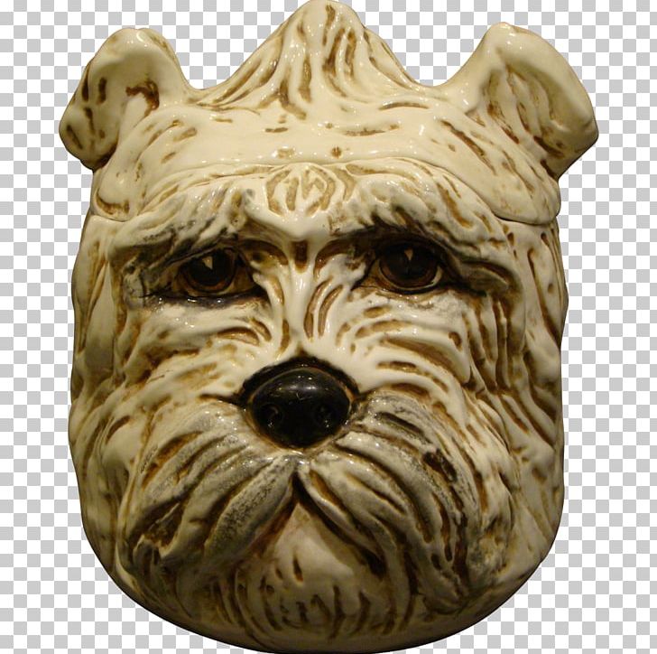 Dog Breed Terrier Snout PNG, Clipart, Animals, Breed, Carnivoran, Cookie, Cookie Jar Free PNG Download