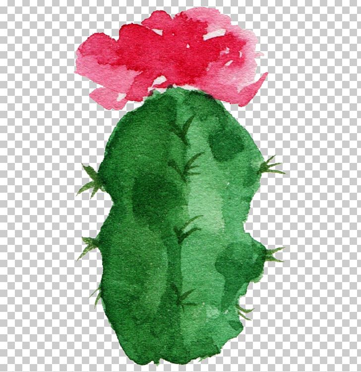 Paper Cactaceae Watercolor Painting Succulent Plant PNG, Clipart, Aesthetic, Aesthetic Flower, Art, Beautiful, Cactus Free PNG Download