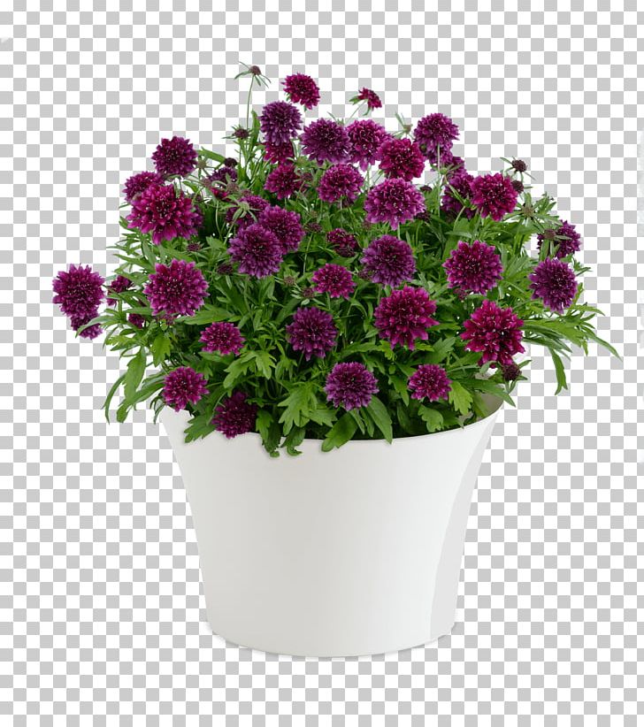 Cut Flowers Seed Flowerpot Artificial Flower PNG, Clipart, Annual Plant, Artificial Flower, Aster, Chrysanths, Cornflower Free PNG Download
